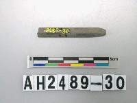 藏品(磨製石針)的圖片